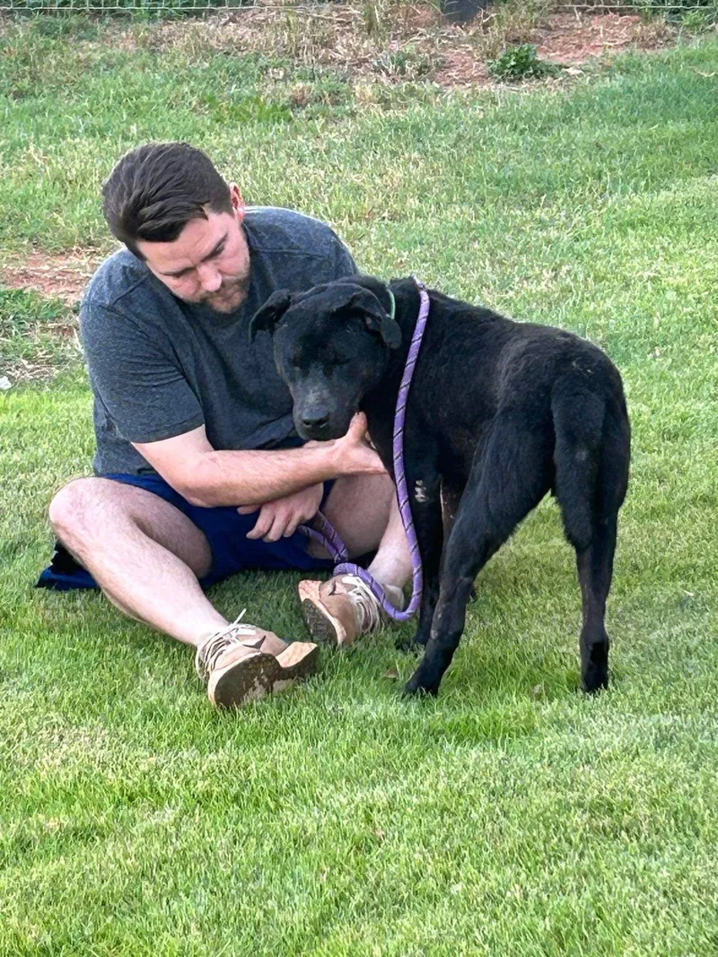 Midnight thumbnail 3