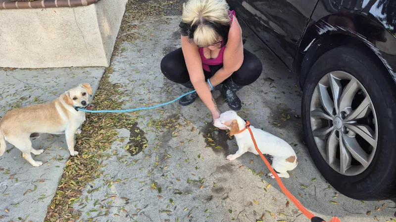 Mandy Moore Daschund! And thumbnail 4