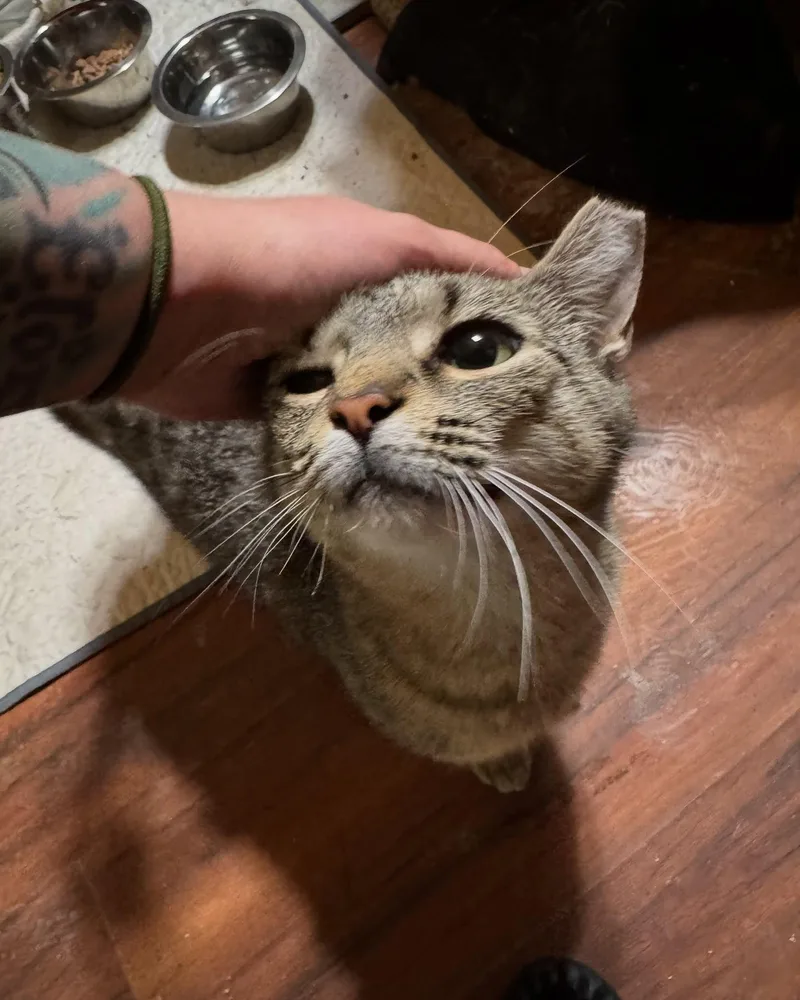 Cindy Lou thumbnail 4