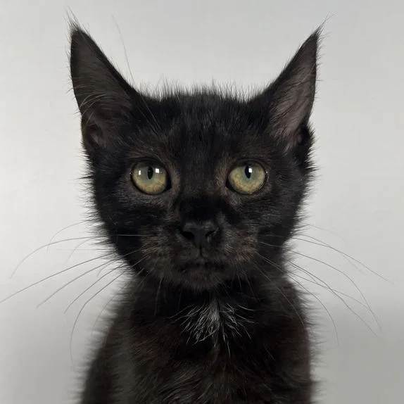 Jolene thumbnail 2