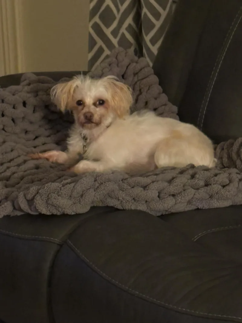 Izzy Isabella thumbnail 2