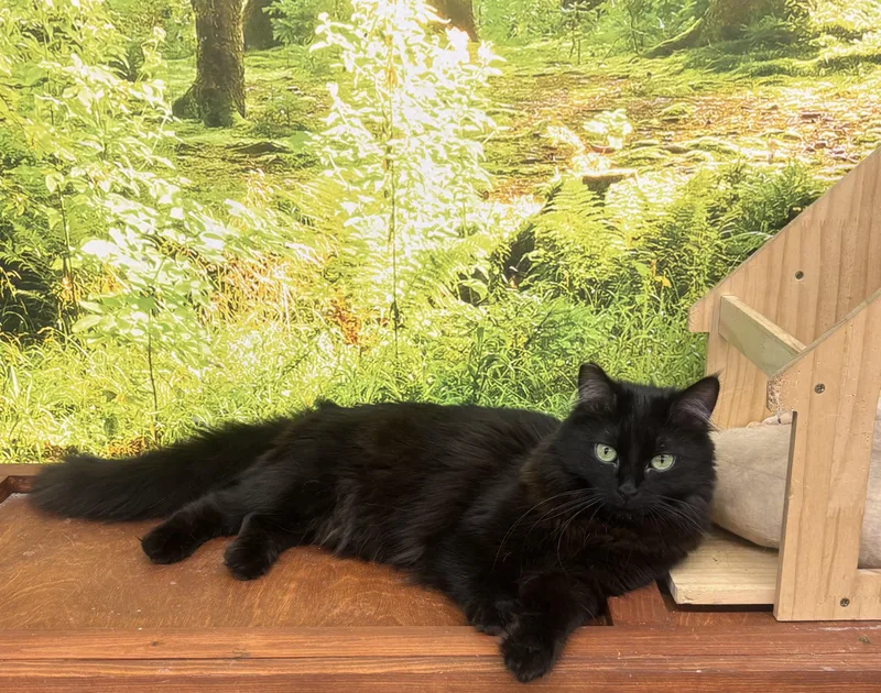 Miss Elly thumbnail 2