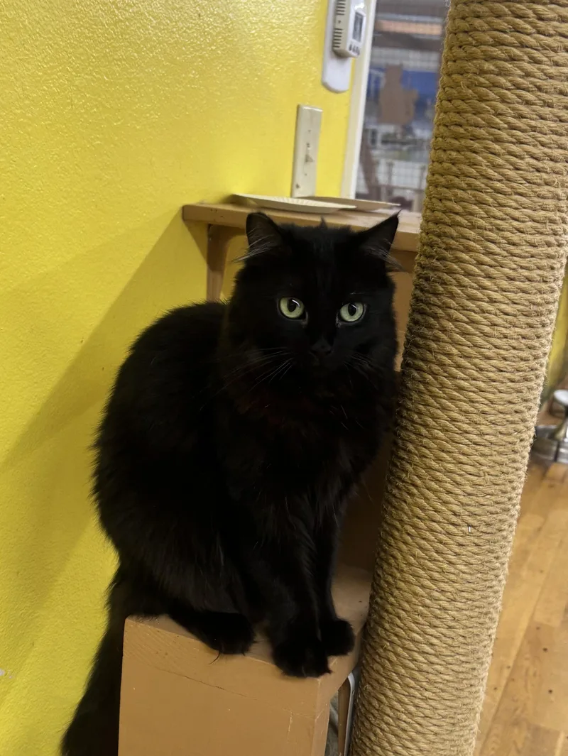 Miss Elly thumbnail 4