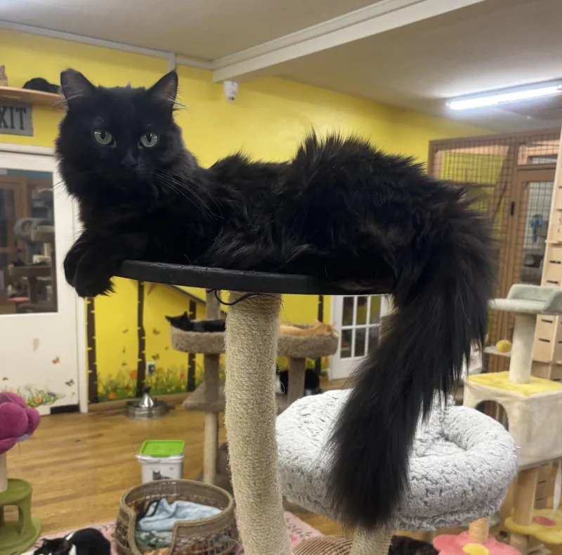 Miss Elly thumbnail 6