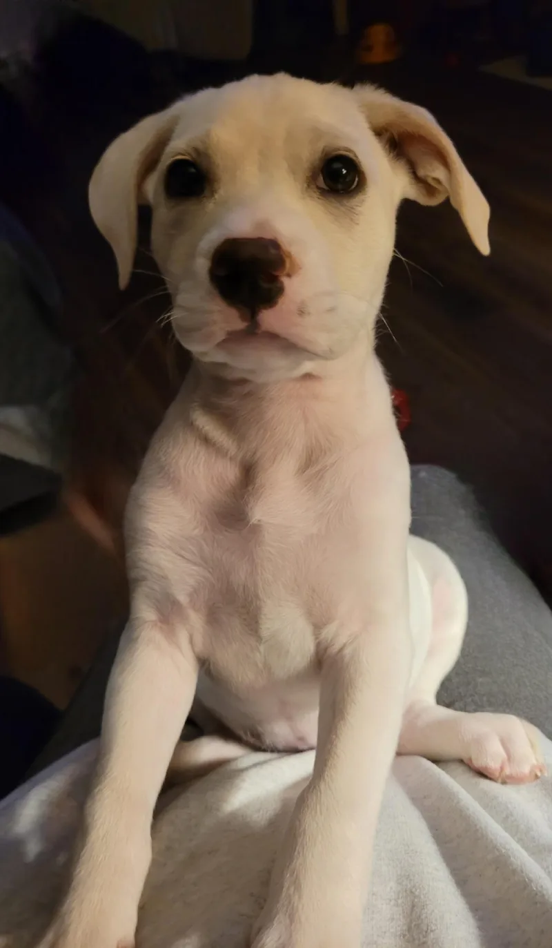 Winnie