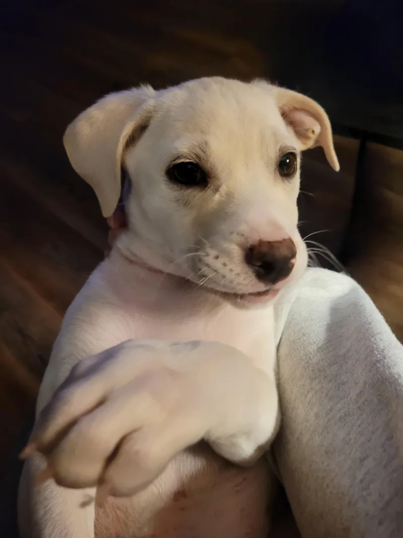 Winnie thumbnail 2