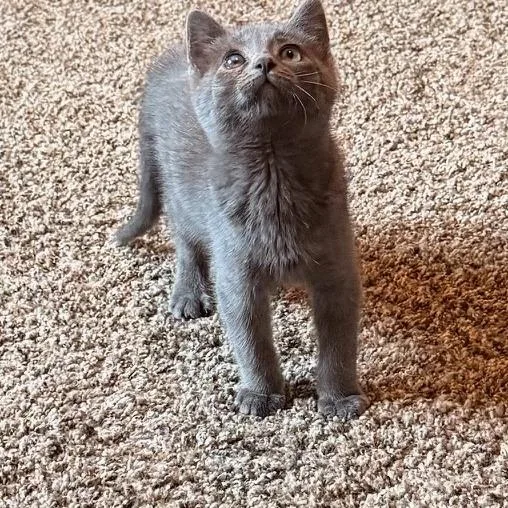 Jessica C thumbnail 3