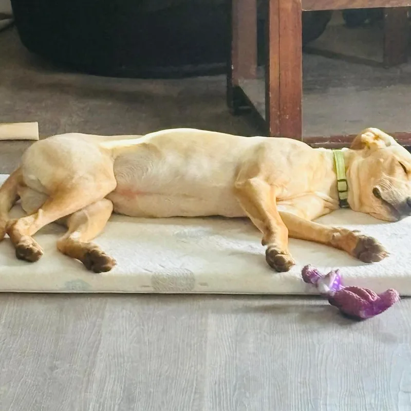 Molly Aka Millie thumbnail 3