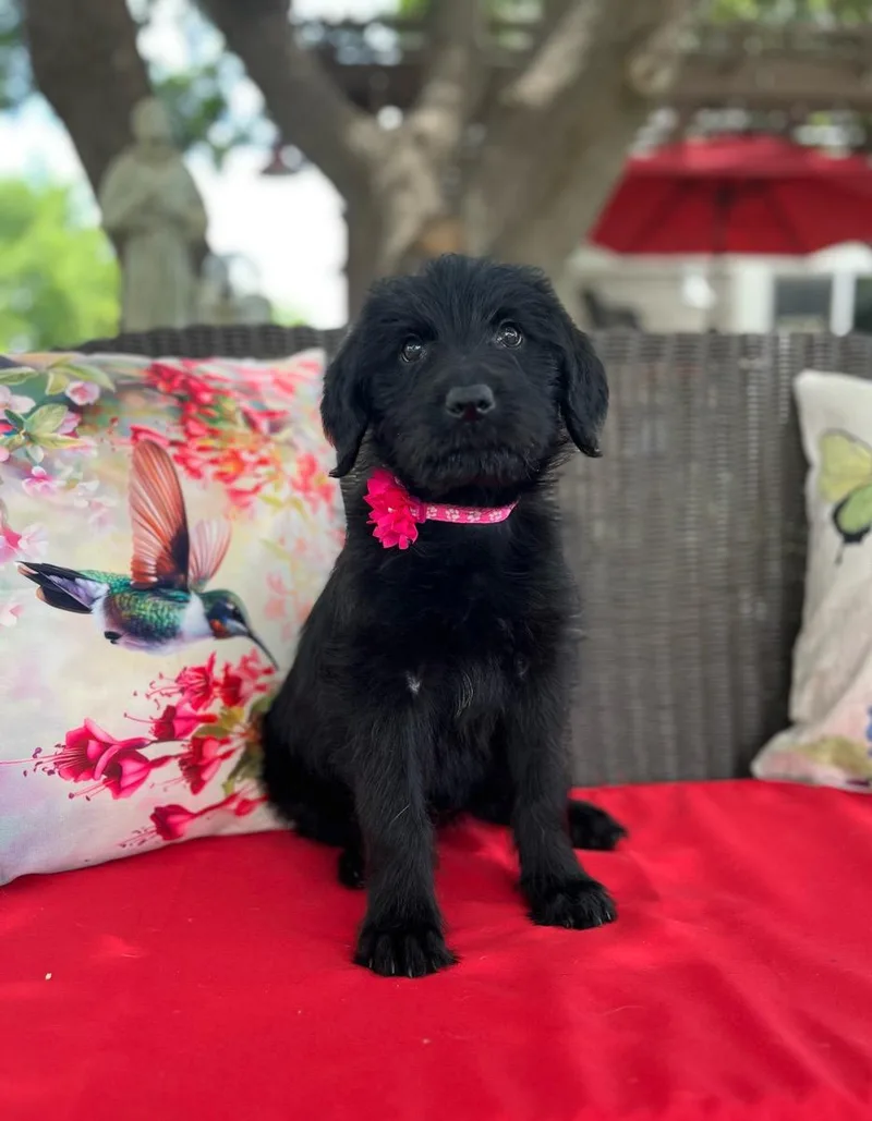 Treasure thumbnail 2