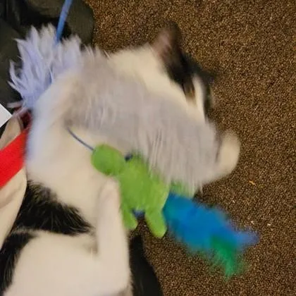 Nick thumbnail 2