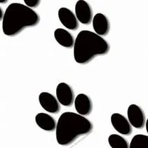 Bubba thumbnail 2
