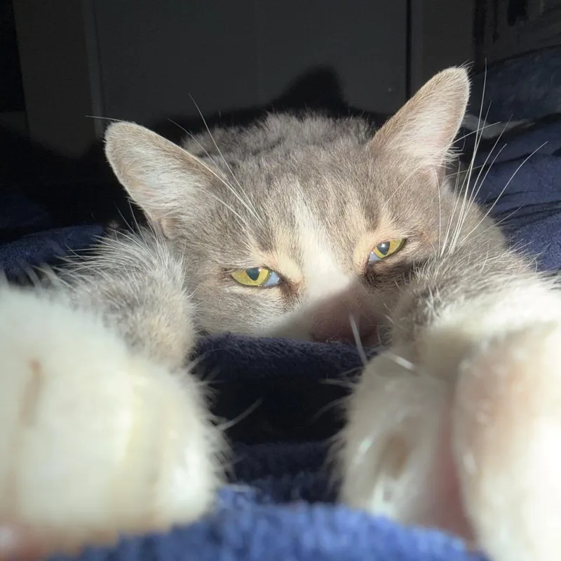 Lucy thumbnail 6