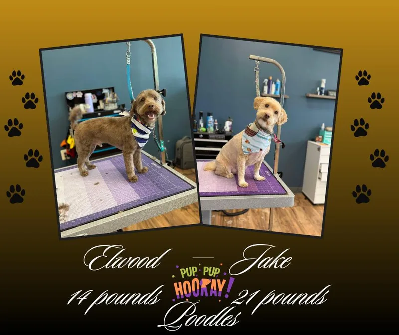 Elwood and Jake thumbnail 3