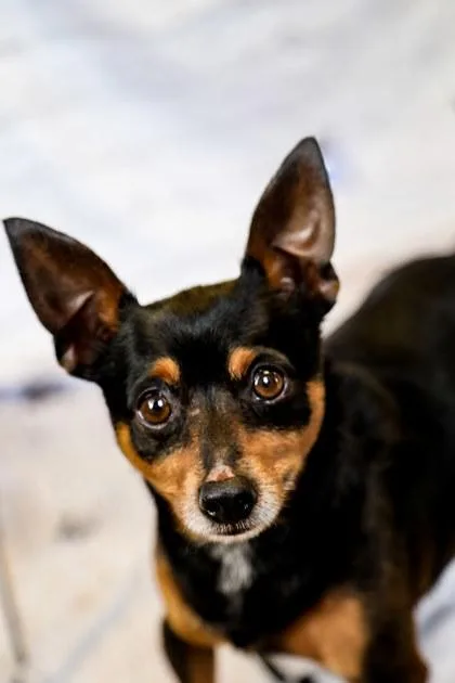 Sam