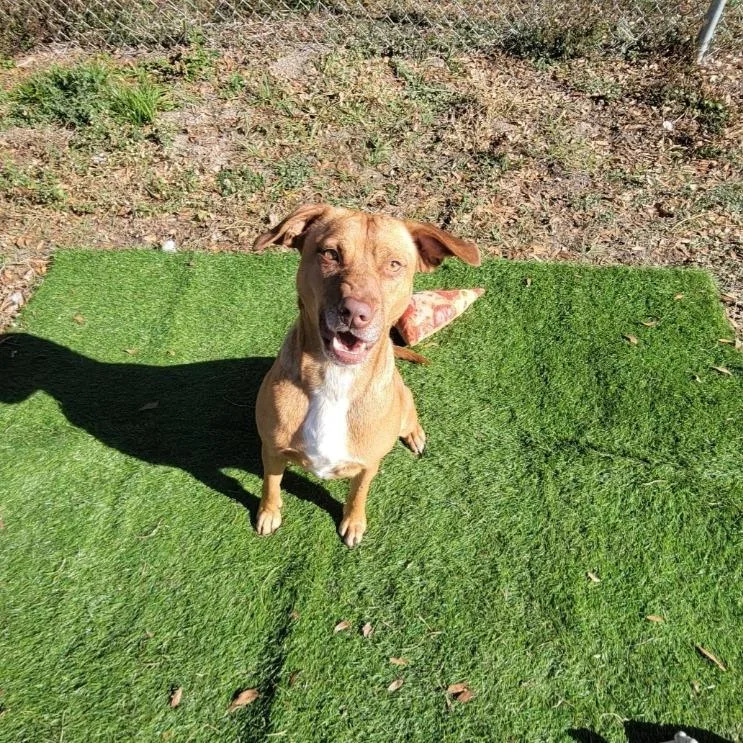 Isabelle thumbnail 2