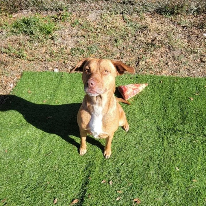 Isabelle thumbnail 4