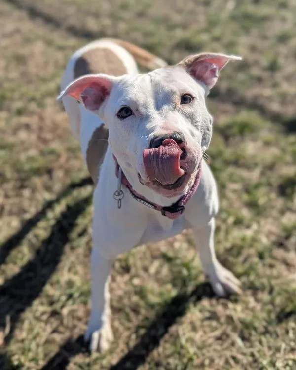 Fun Times thumbnail 2