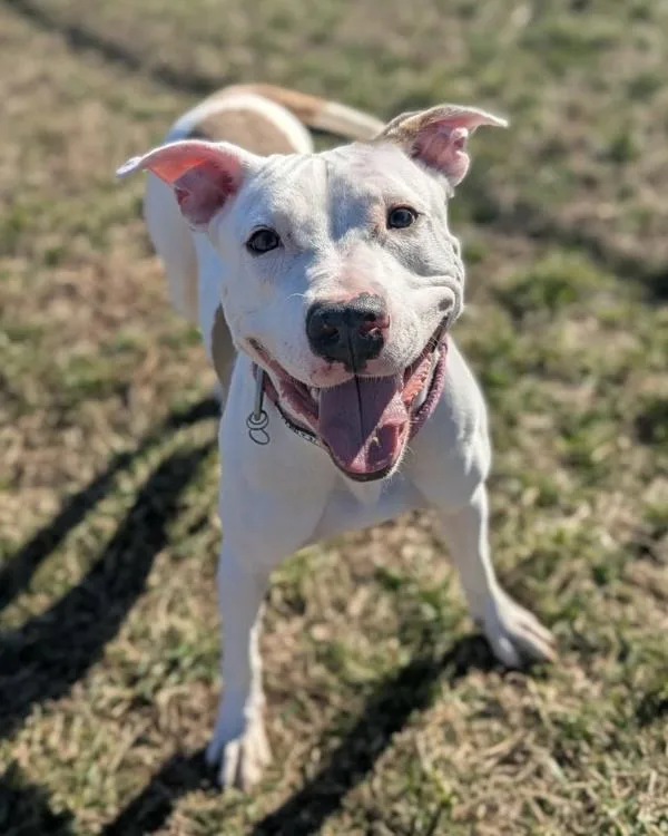 Fun Times thumbnail 3