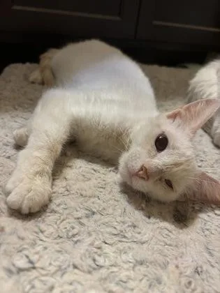 Criselle And Kafi thumbnail 3