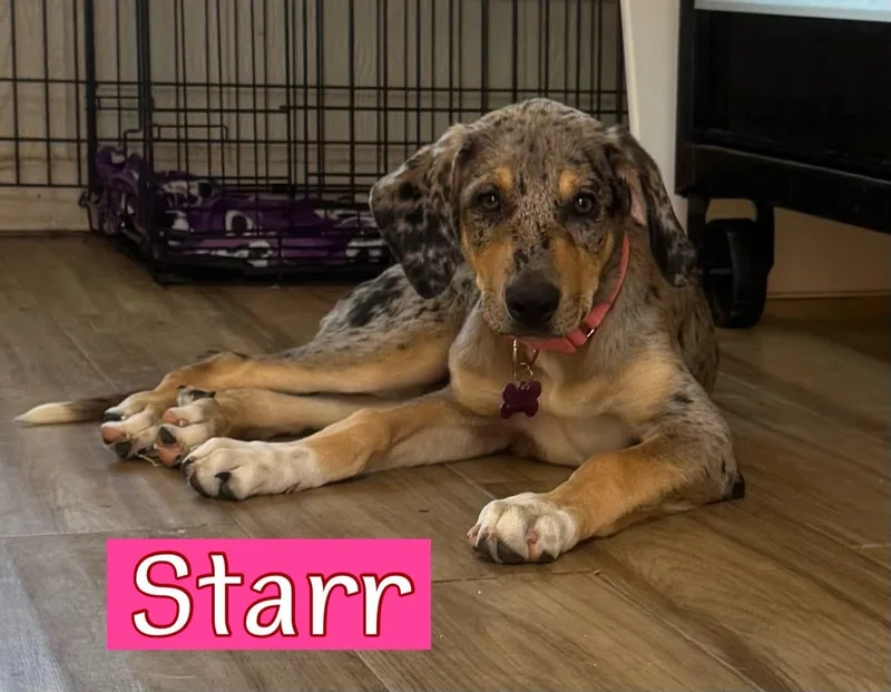 Starr  Sutton And thumbnail 2