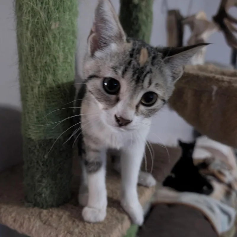Margo thumbnail 2
