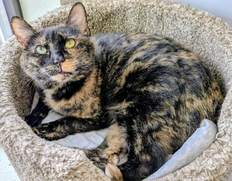 Mama Alice thumbnail 3