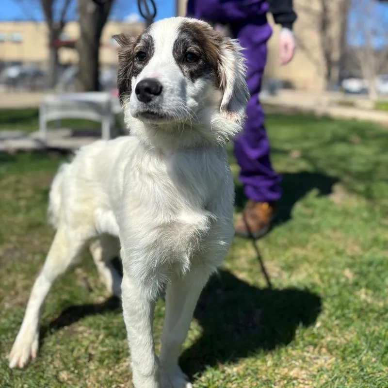 Gabriella Montez thumbnail 2