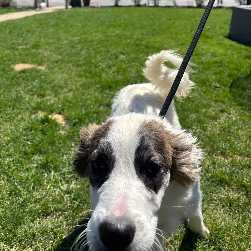 Gabriella Montez thumbnail 3