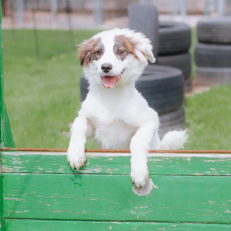 Gabriella Montez thumbnail 4