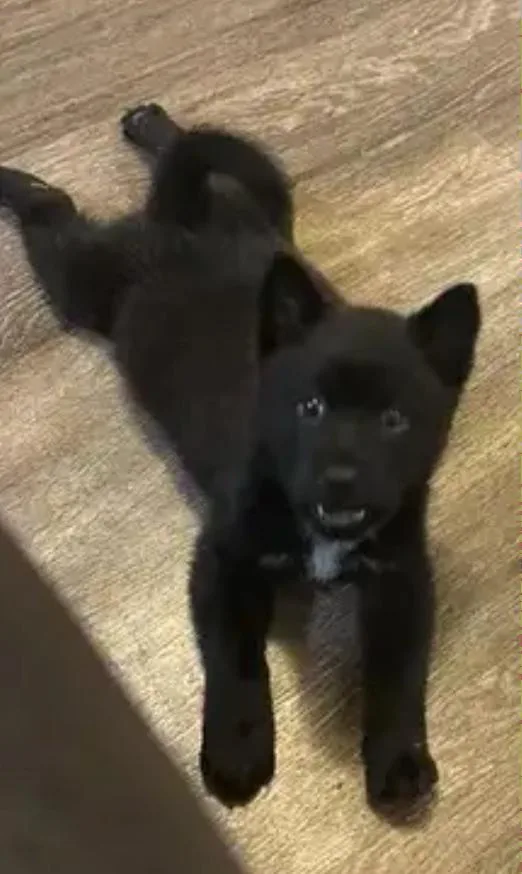 Twilight thumbnail 2