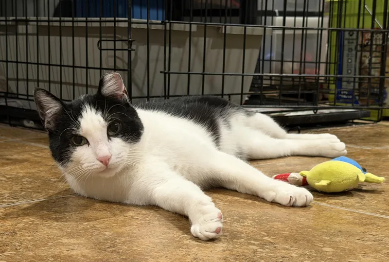 👑 Lj👑 thumbnail 4