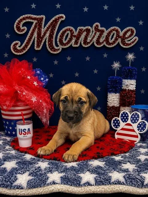 Monroe thumbnail 2