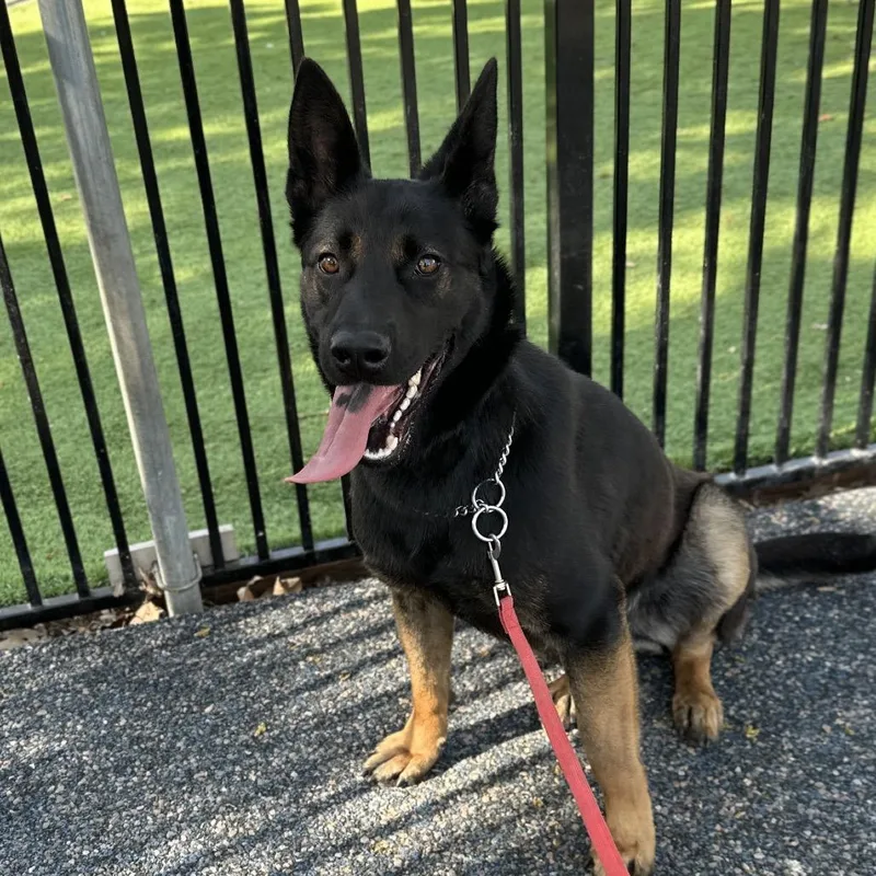 Libby  Ecas thumbnail 3