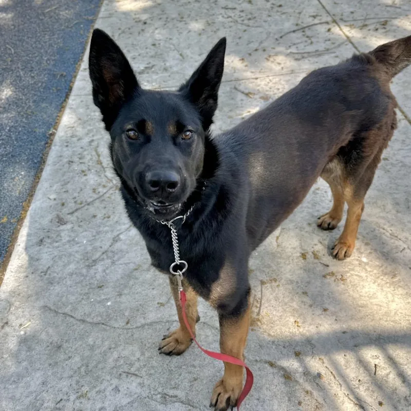 Libby  Ecas thumbnail 4