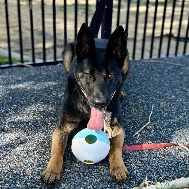 Libby  Ecas thumbnail 5