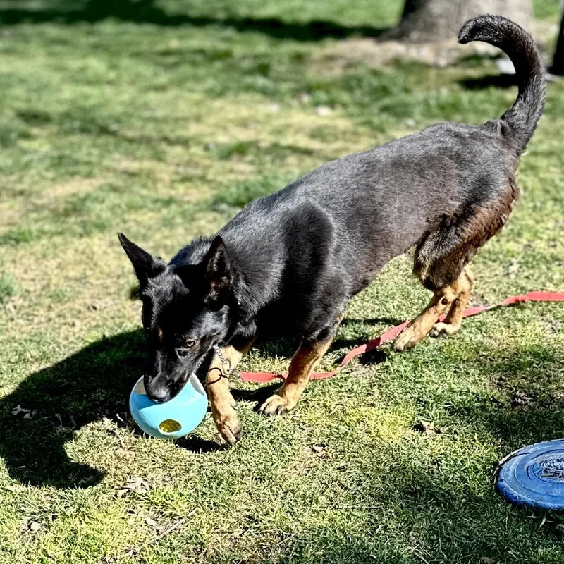 Libby  Ecas thumbnail 6