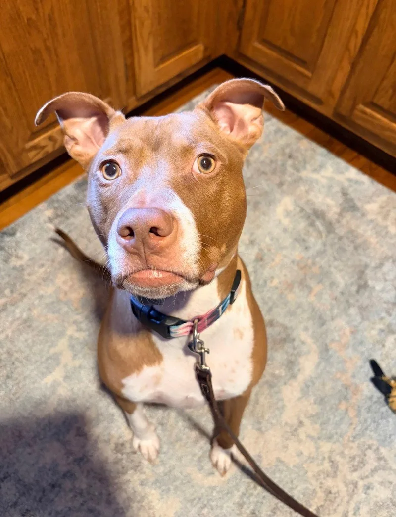 Maggie thumbnail 2