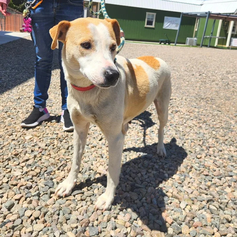 Charlotte thumbnail 2