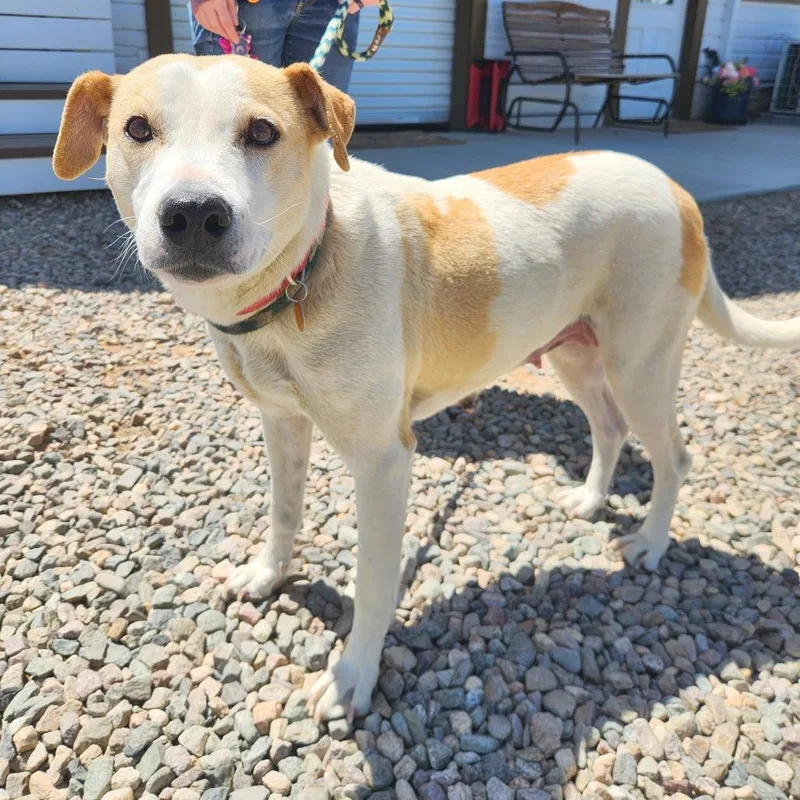 Charlotte thumbnail 3