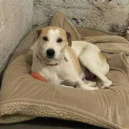 Charlotte thumbnail 4