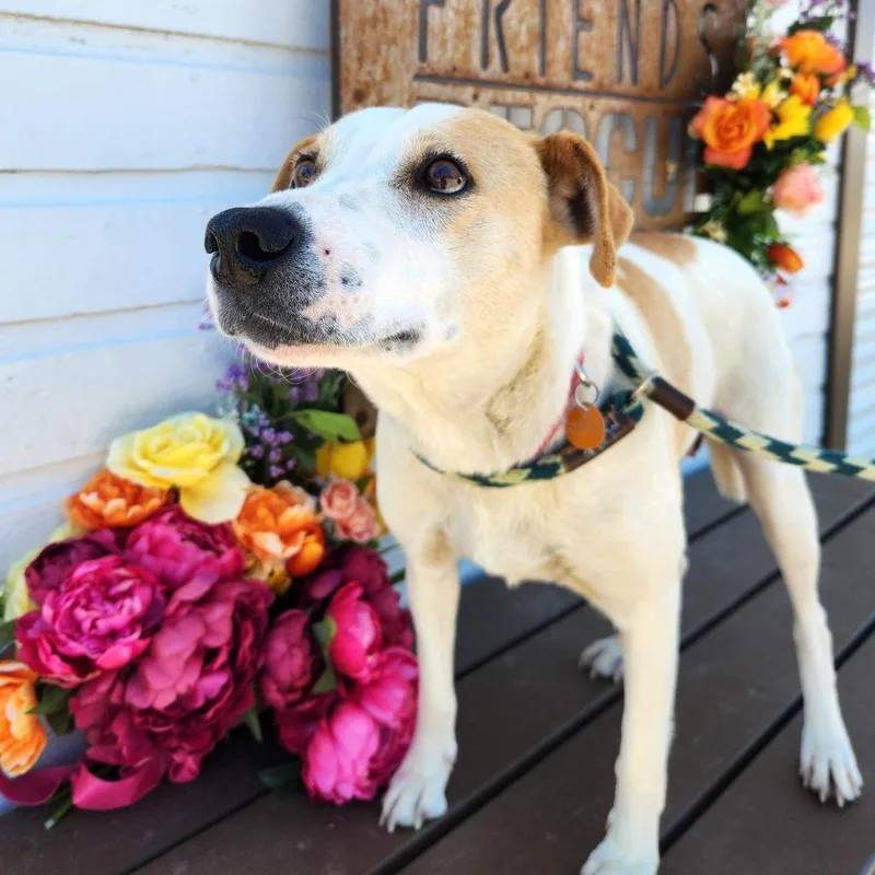 Charlotte thumbnail 5