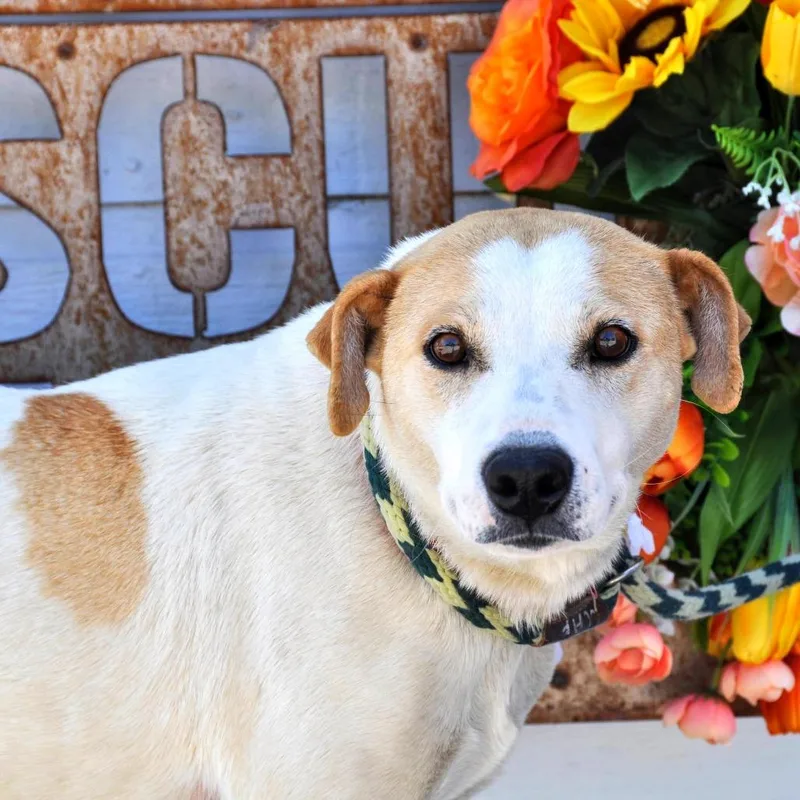 Charlotte thumbnail 6