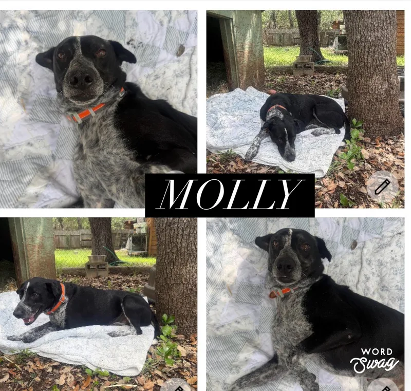 Molly