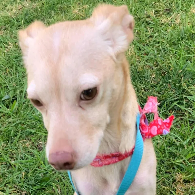 Chipotle thumbnail 2