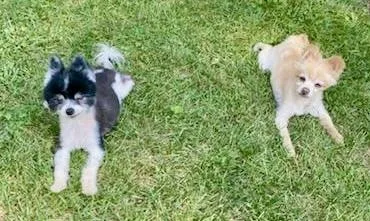 Jam And Jelly thumbnail 2