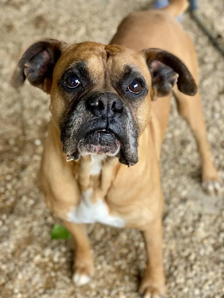 Waterford thumbnail 2