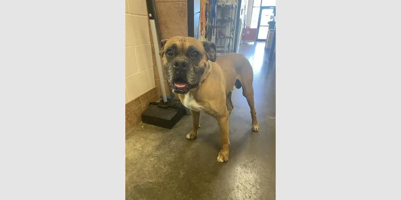 Waterford thumbnail 3