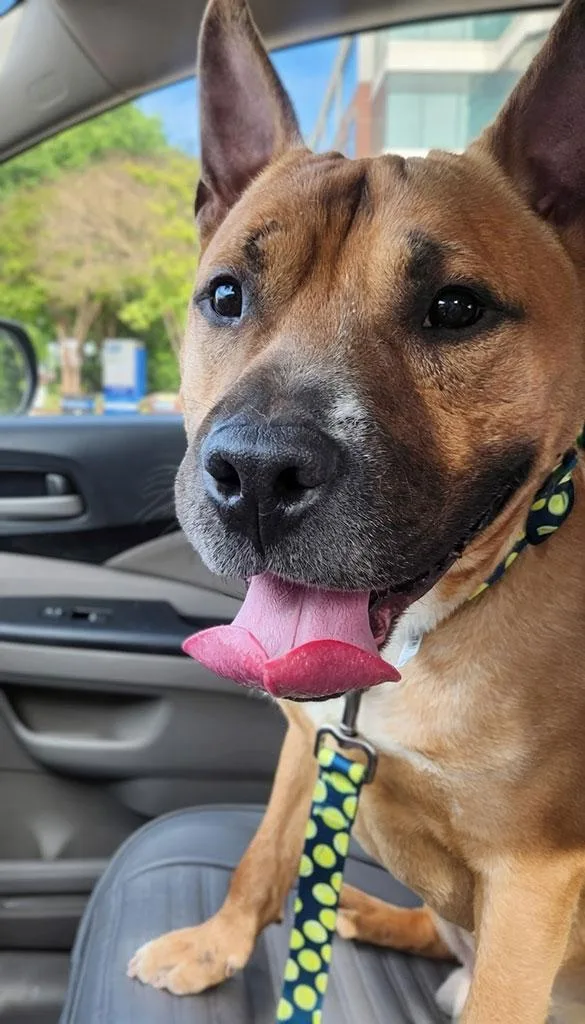 Benny