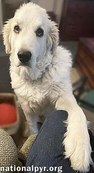 Ruth In Oh  thumbnail 3