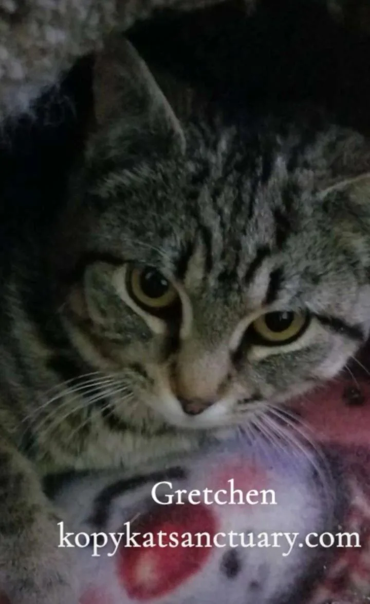 Gretchen thumbnail 2